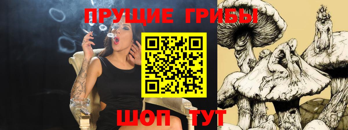 где продают   Вход с VPN  Тимашёвск  Псилоцибиновые грибы Cubensis 